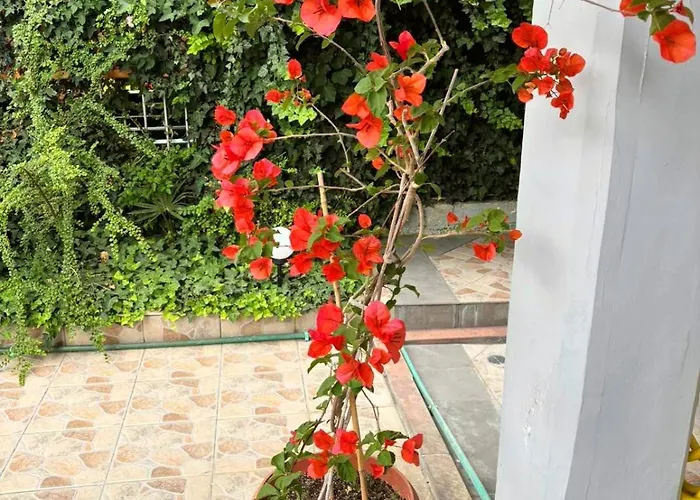 Appartamento Nikol 2 Olympiakí Aktí